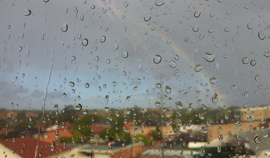 Inside Out - What Does Pixar Teach Us About Emotions?
