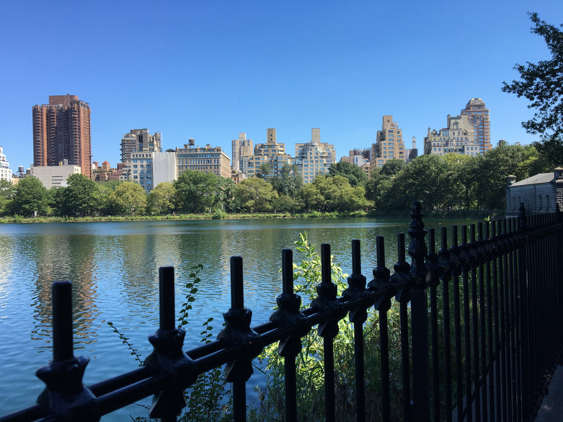 From New York City, With Love - A Poem About Our Recent Travels